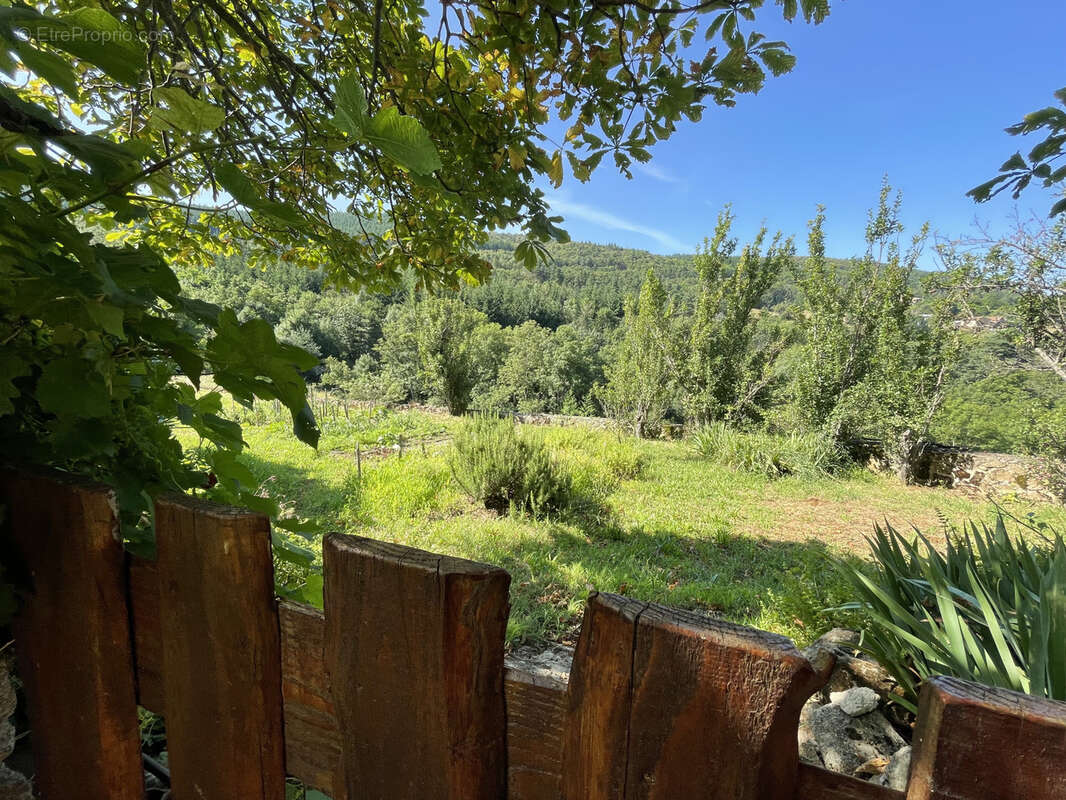 Bâtisse en pierre avec 4.1ha 326 m2 - photo 5