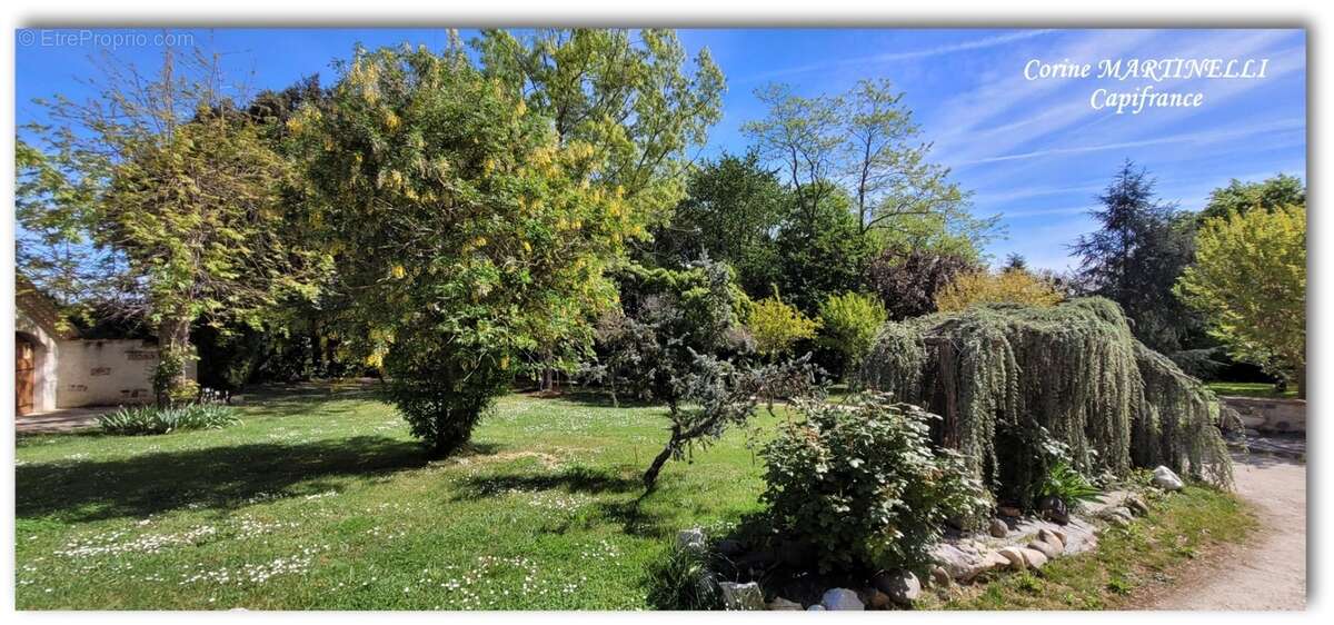 A vendre maison en pierre 200 m² avec Parc 8560 m² arboré - photo 5