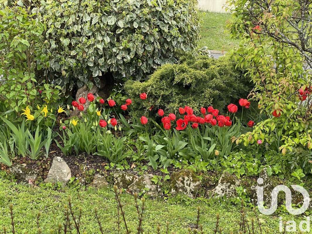 Photo 4 - Maison à MENNECY