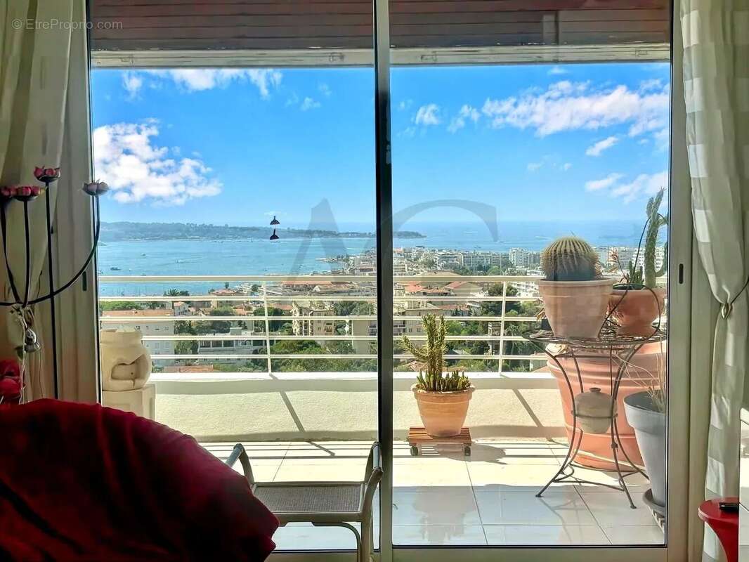 EXCLUSIVITE ! Vue Mer Panoramique – Cannes- Iles de Lérins - Estérel pour cet Appartement d'exception – - photo 5