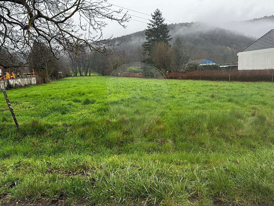 Terrain à BUHL
