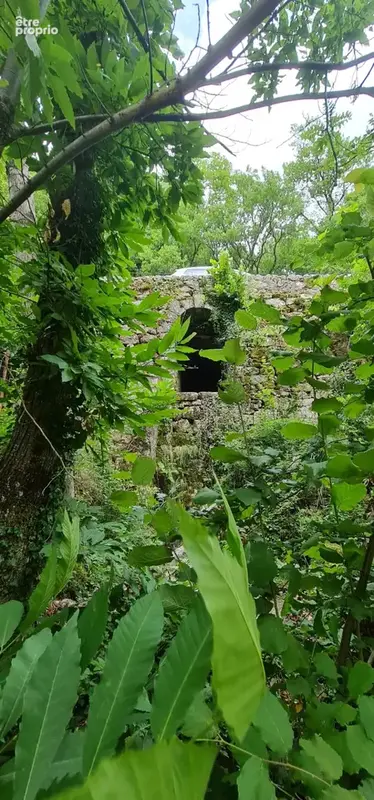 Maison et jardin en bordure de rivière - à rafraîchir - bon toit - photo 25