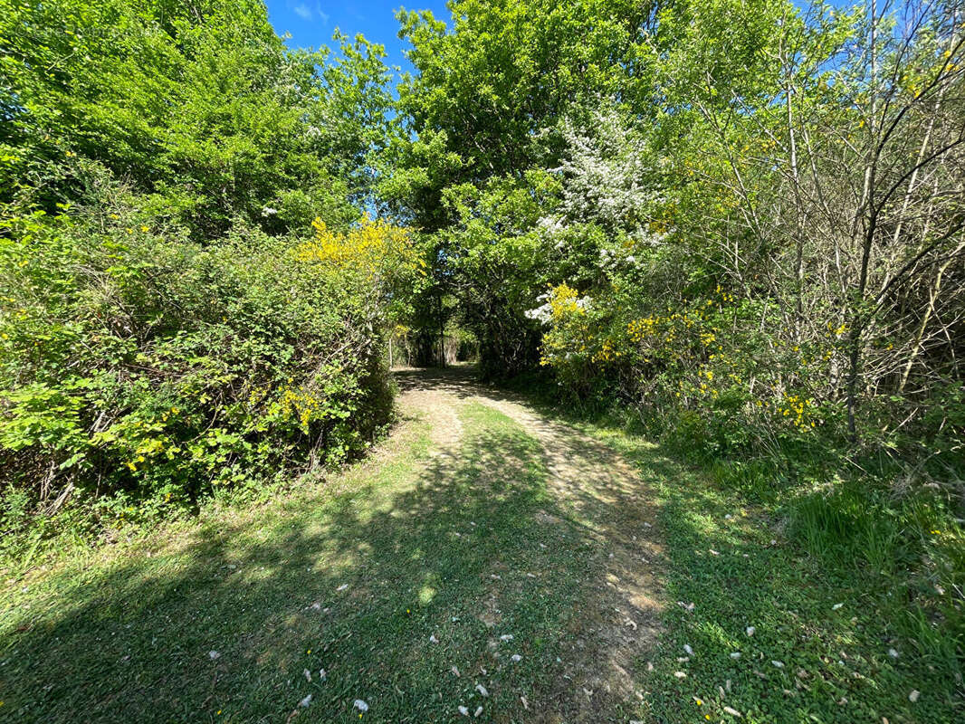 Terrain à BERUGES