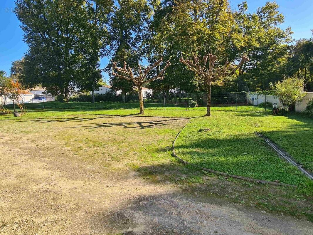 Terrain à LES MATHES