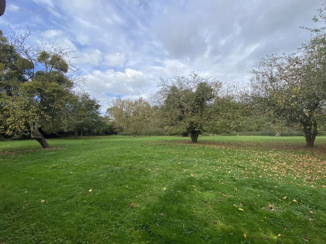 Maison à LE LION-D&#039;ANGERS