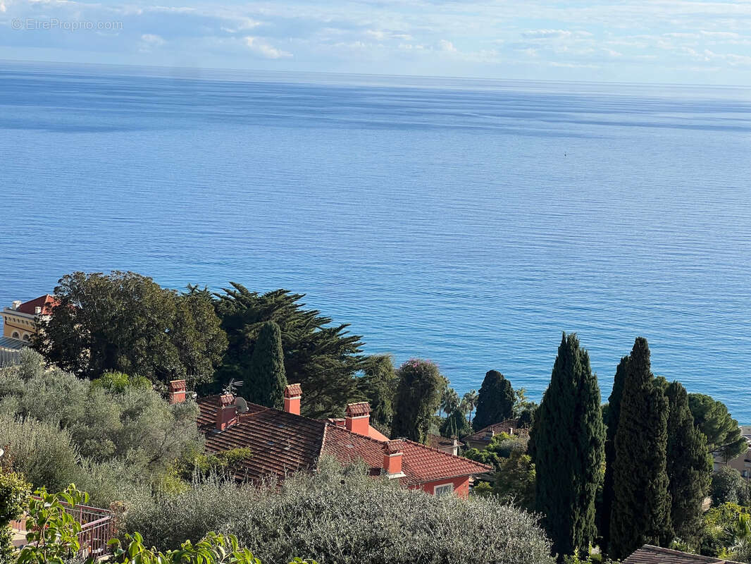 Maison à MENTON