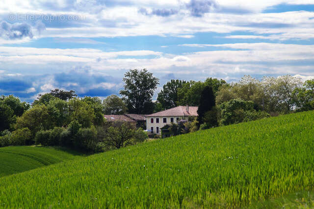 Maison à SIMORRE