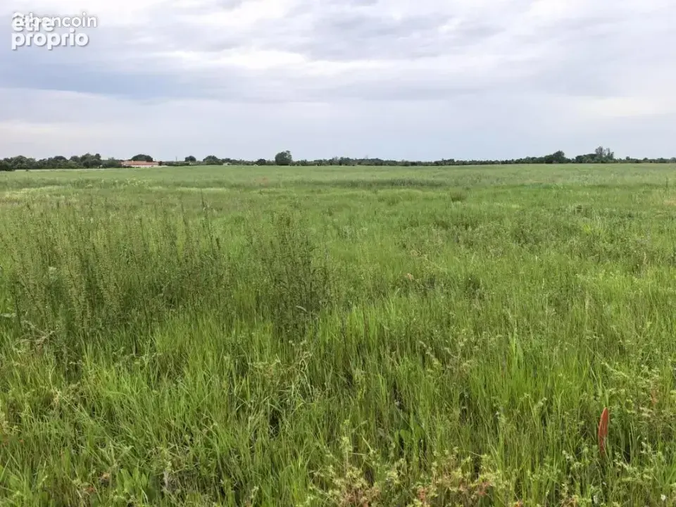 Photo Terrain à La Remuee au prix de 110 000€