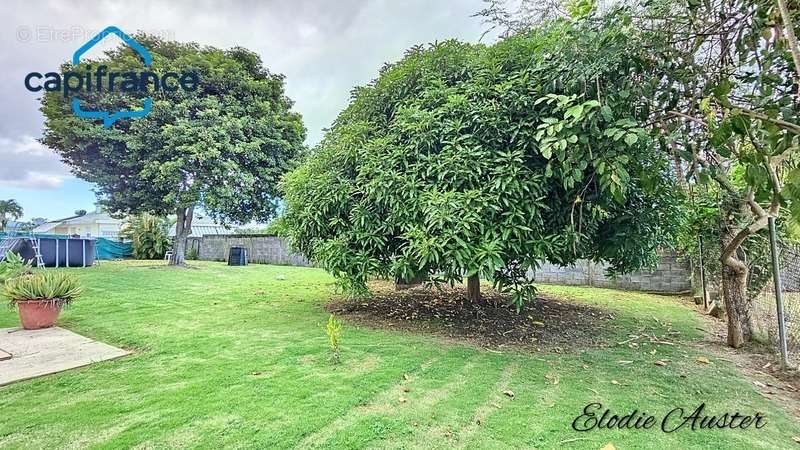 Maison à SAINTE-ROSE