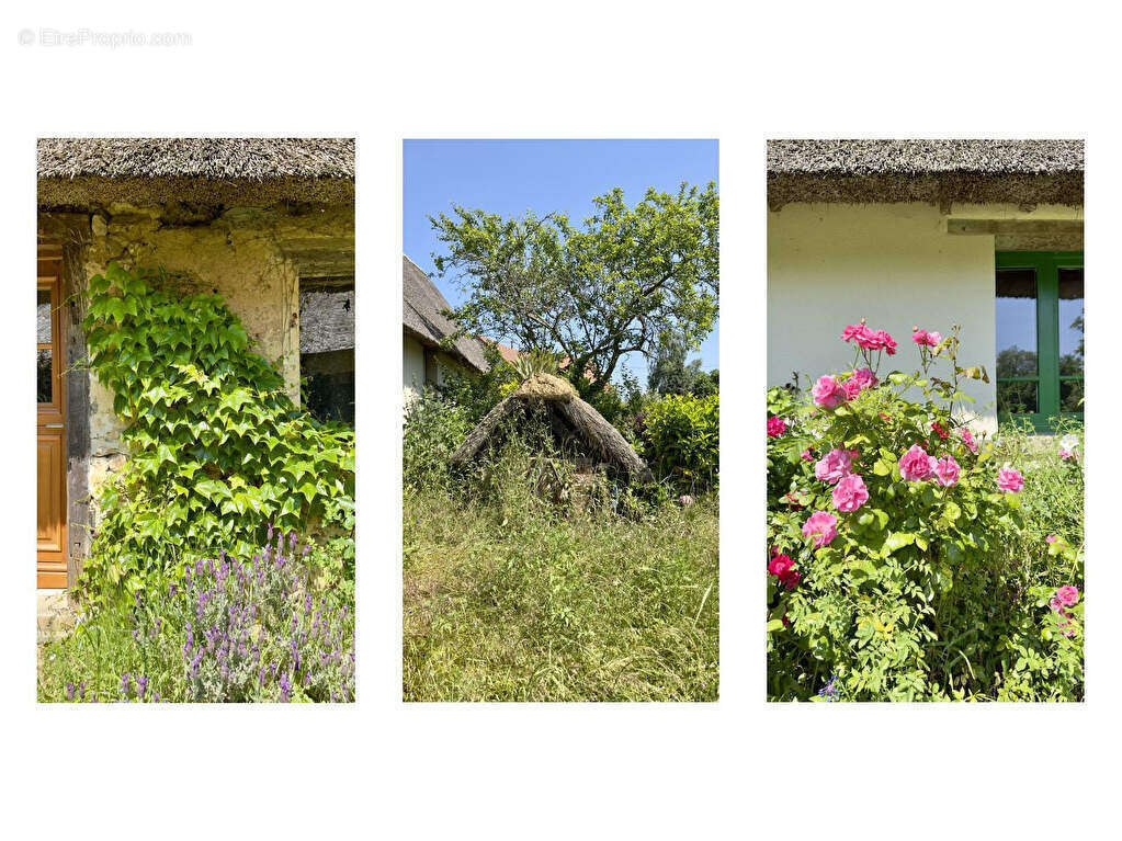 Maison à NOGENT-LE-ROI