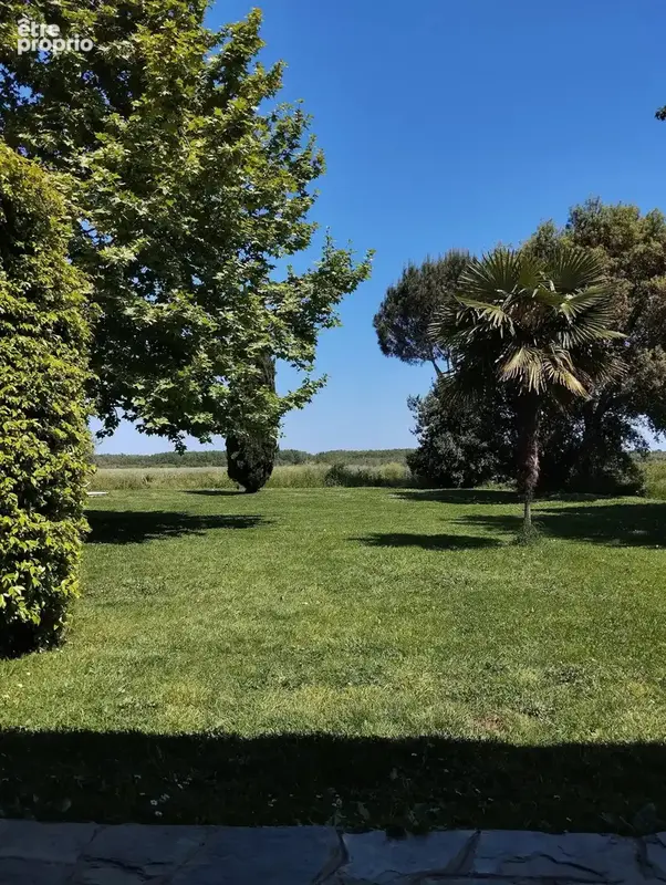 BORGO - Villa nichée dans un cadre exceptionnel à BORGO - photo 15