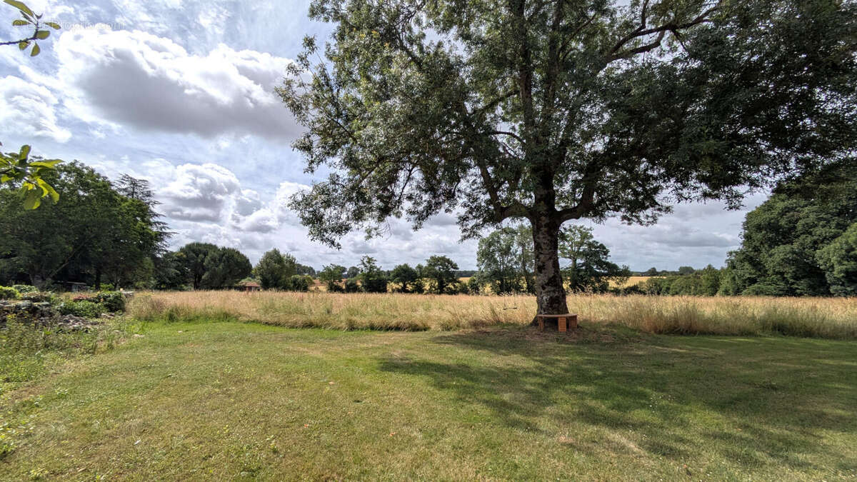Maison 73m² à mauprévoir - photo 17