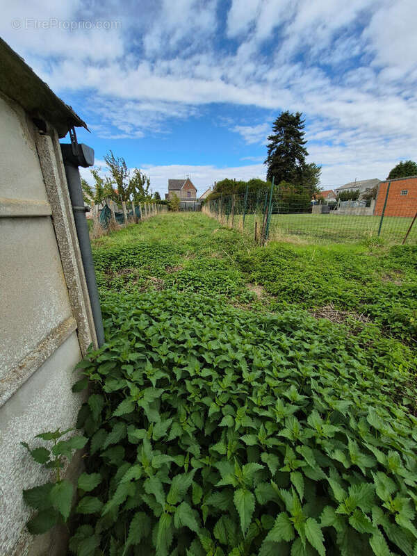 Maison à VILLERS-OUTREAUX