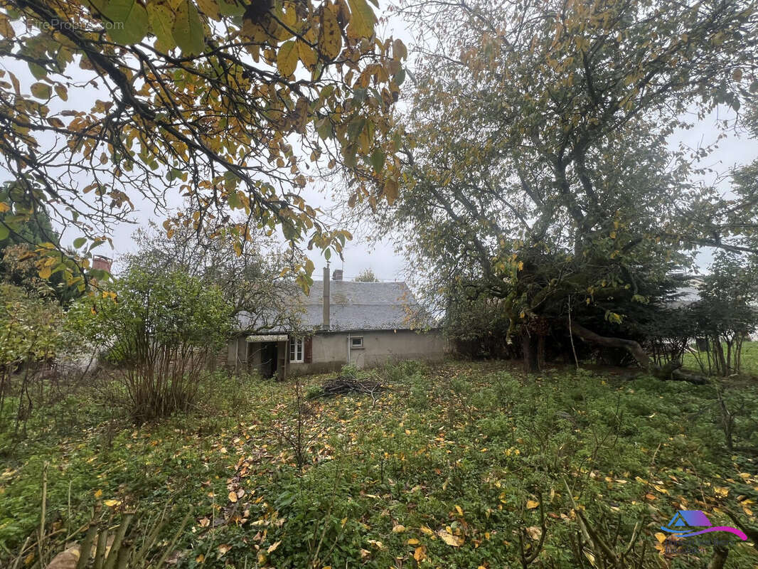 jardin - Maison à SIDIAILLES