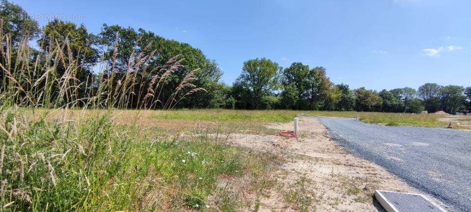 Terrain à MURS-ERIGNE