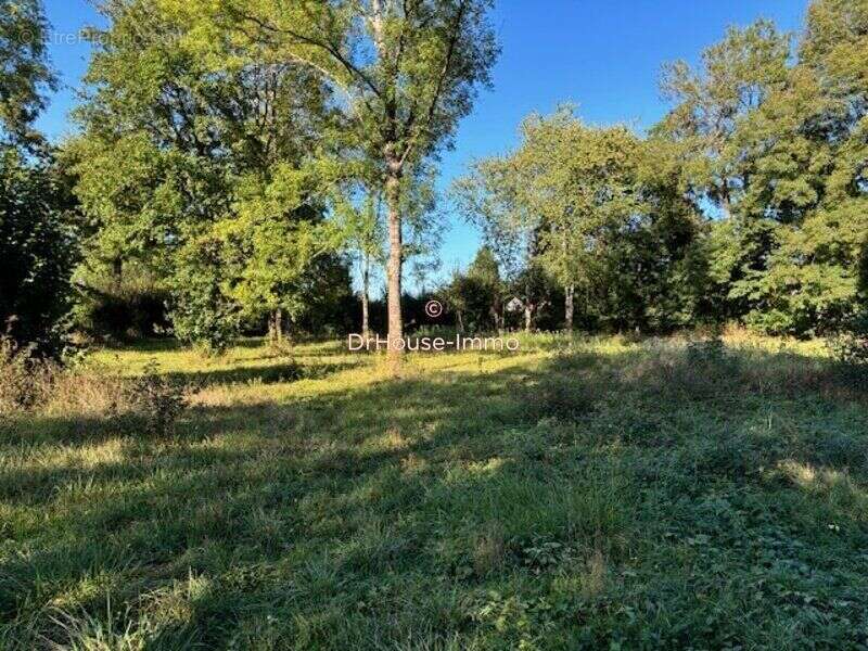 Terrain à CHANCELADE