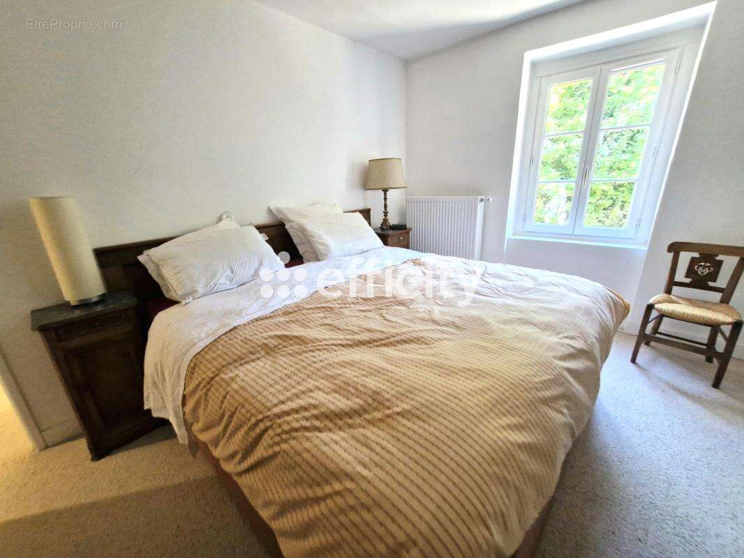 Maison 257 m² à Vernioz  - photo 11