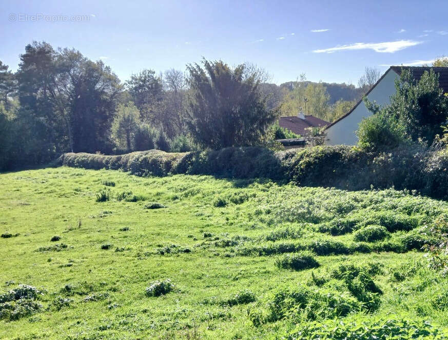 Terrain à SANSAC-DE-MARMIESSE