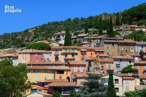 Maison 450 m² à Bormes-Les-Mimosas  - photo 2