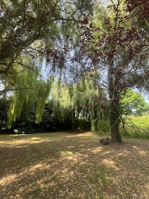 PLAISANCE (32): SANS TRAVAUX, MAISON XVIIIs restaurée avec élégance SUR 240M2 habitables, 6600m2 de jardin,géothermie,  puits, g - photo 48