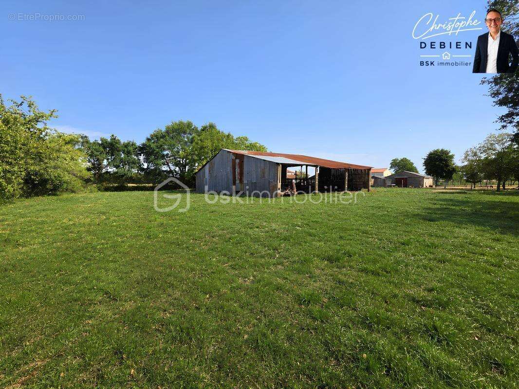 Hangar de 350 m² – terrain de 2 973 m² – zone agricole – fort potentiel - photo 5