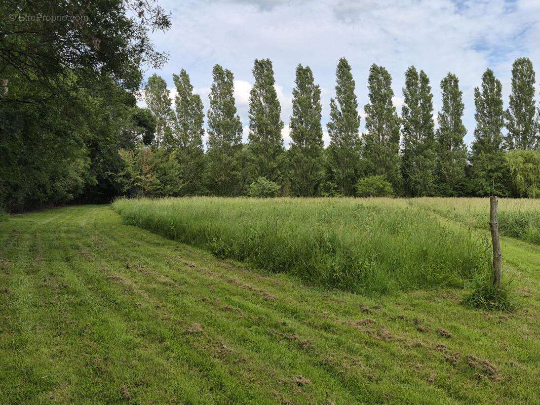 Terrain à CHAMPAGNE