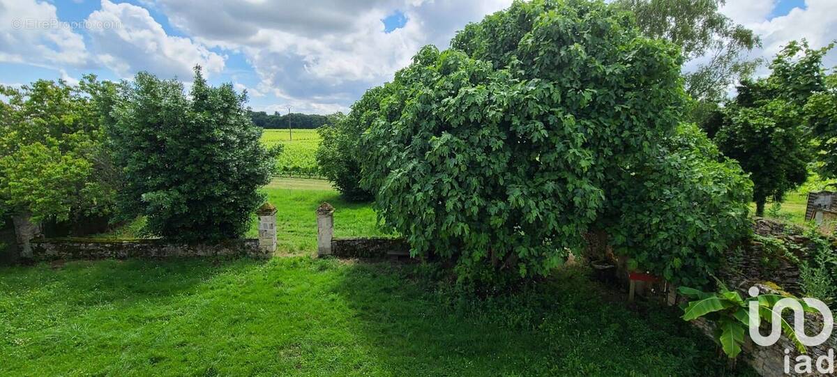 Photo 1 - Maison à SAINT-PAUL