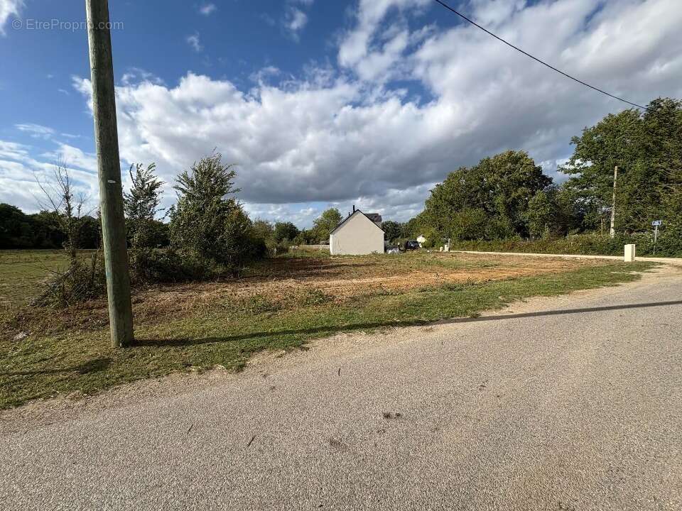 Terrain à SOIGNOLLES-EN-BRIE