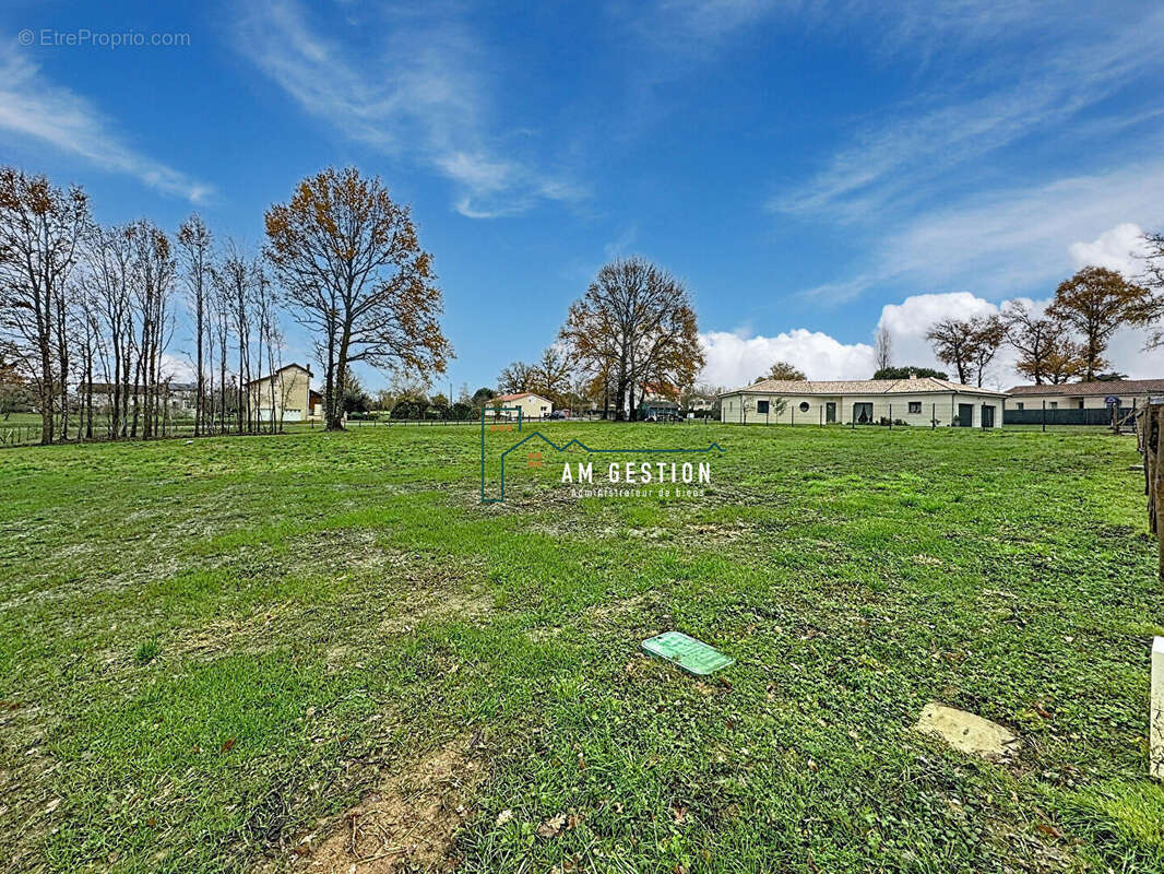Terrain à SAINT-JUNIEN