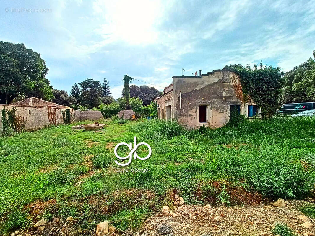 Maison à SUSSARGUES