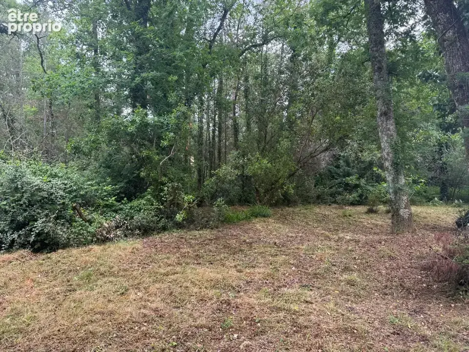 Terrain à SAINT-AUBIN-DE-MEDOC