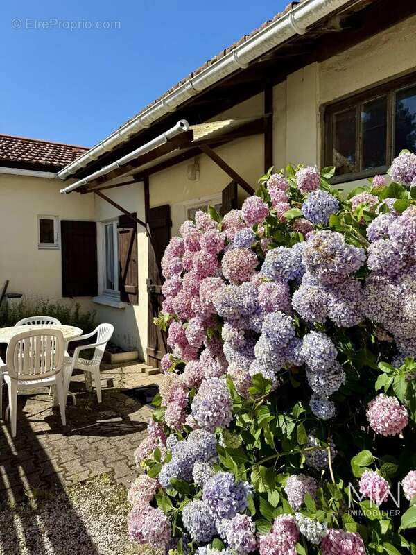 Maison à LEGE-CAP-FERRET