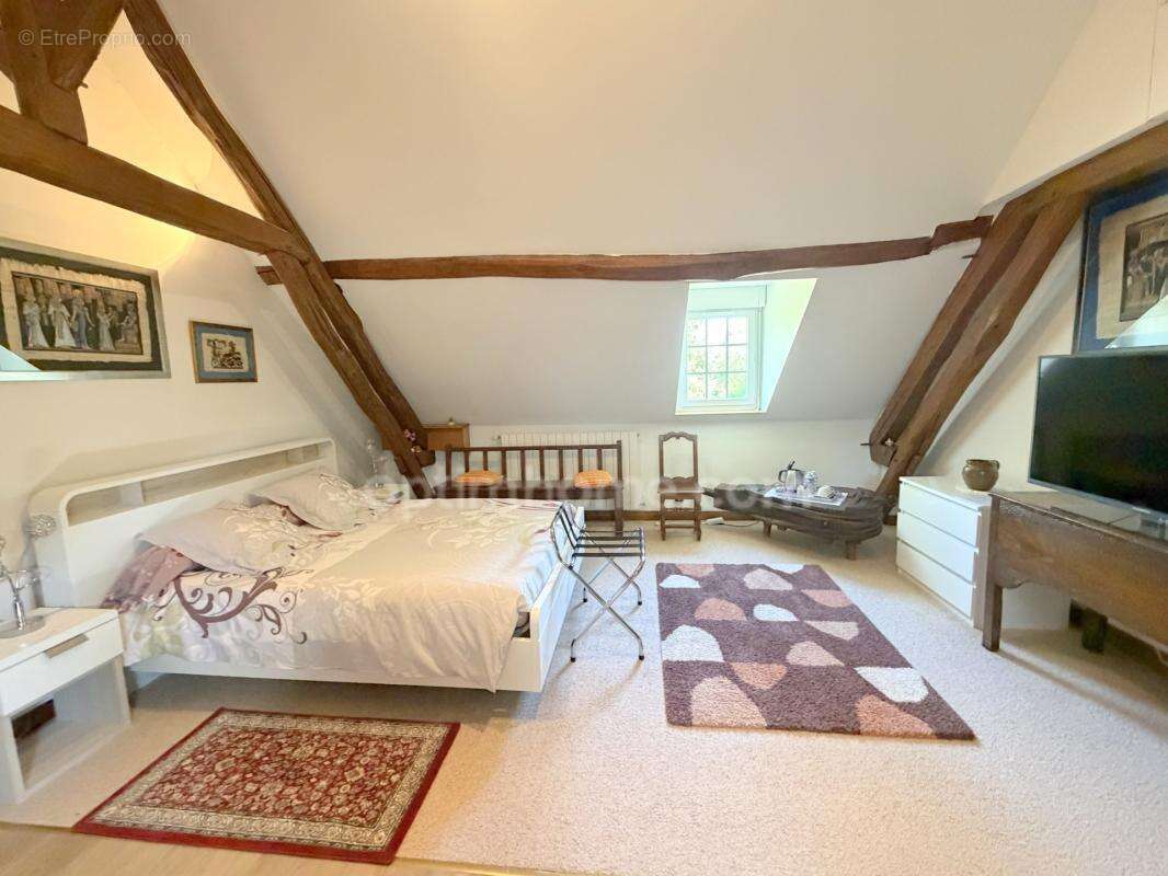 Propriété à vendre 10 pièces MERY SUR CHER (18) dans un environnement très calme et verdoyant - photo 21