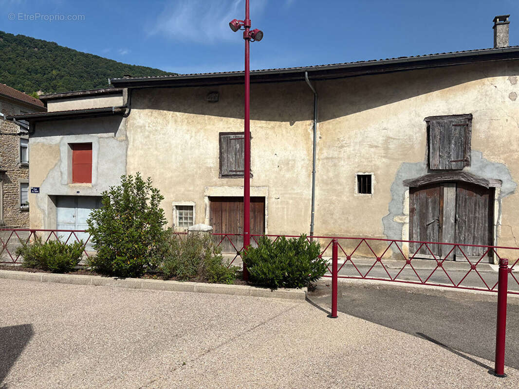 Maison 370m² à torcieu - photo 4