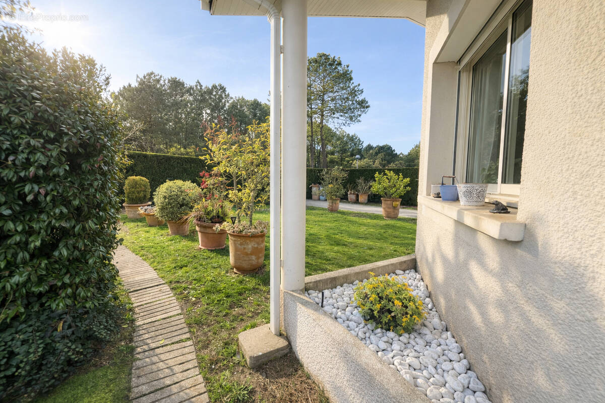 Photo Maison à Gujan-Mestras au prix de 475 000€