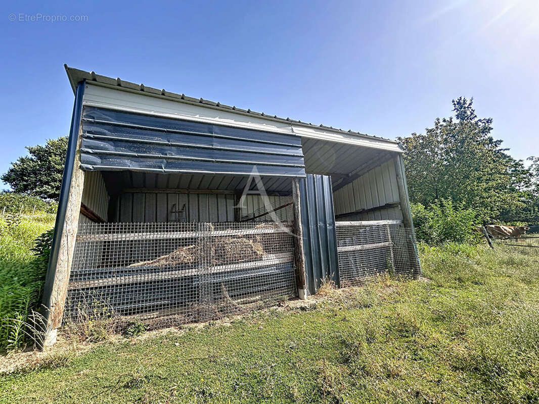 Terrain Loigne Sur Mayenne 23946 m2 - photo 9