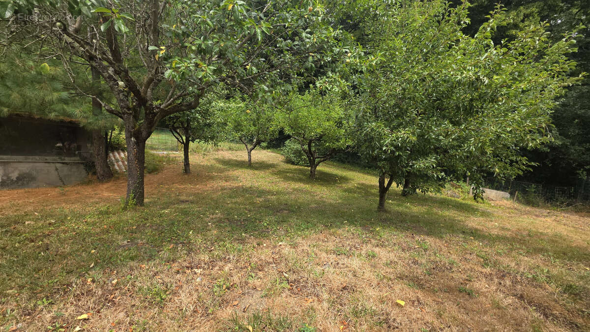plain pied de 78 m2 sur plus de 6 000m2 de terrain - photo 4