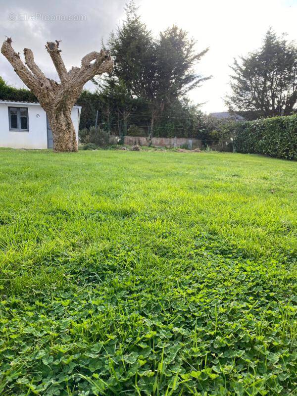 Terrain à SENE