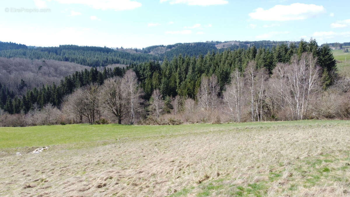 Maison à SAINT-ROMAIN-LES-ATHEUX