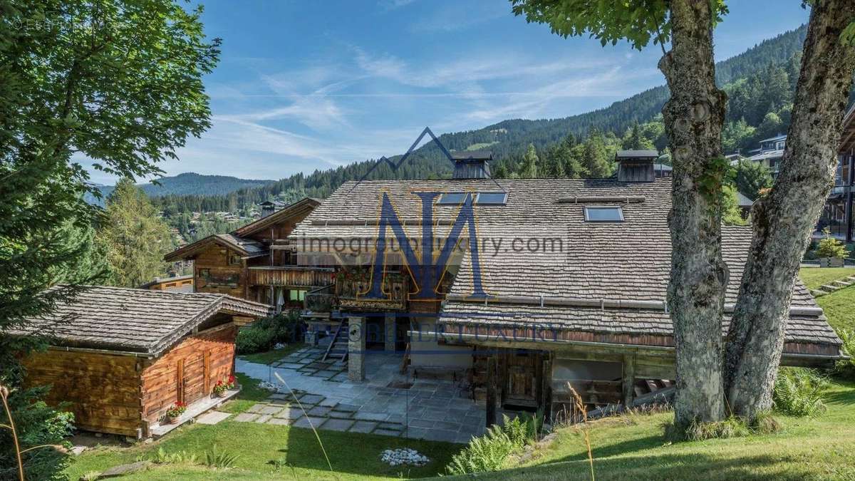 Commerce à ARACHES-LA-FRASSE