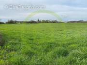 Terrain à VELLEMINFROY