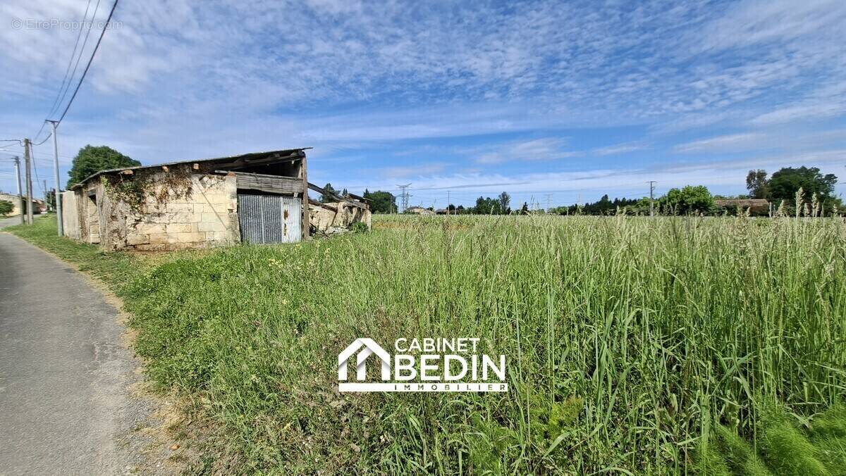 Terrain à SAINT-ANDRE-DE-CUBZAC