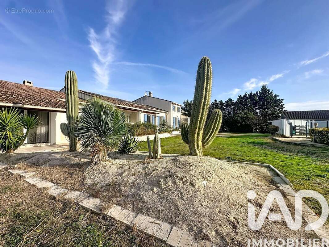 Photo 5 - Maison à BELLEGARDE