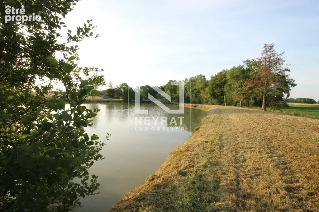 Etang avec sources - photo 12