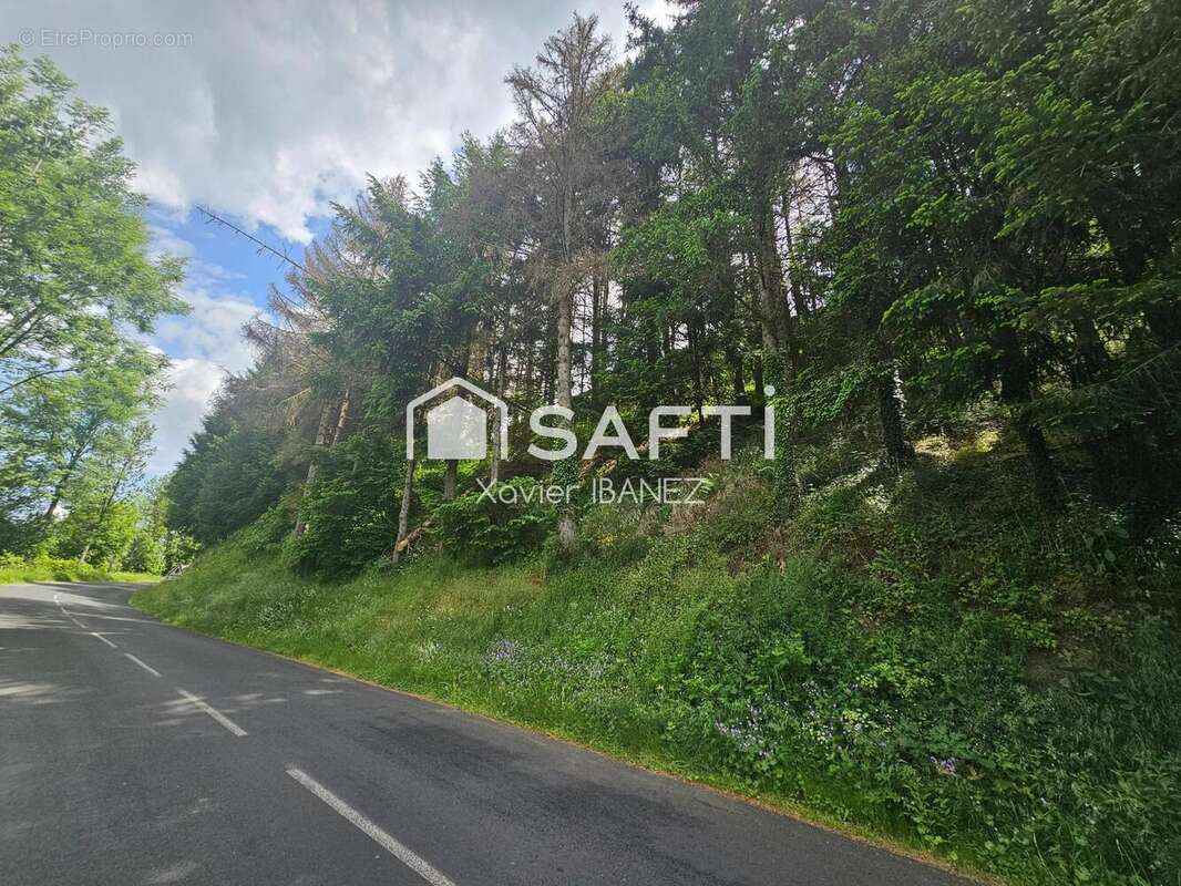 Photo 2 - Terrain à CHAUDES-AIGUES