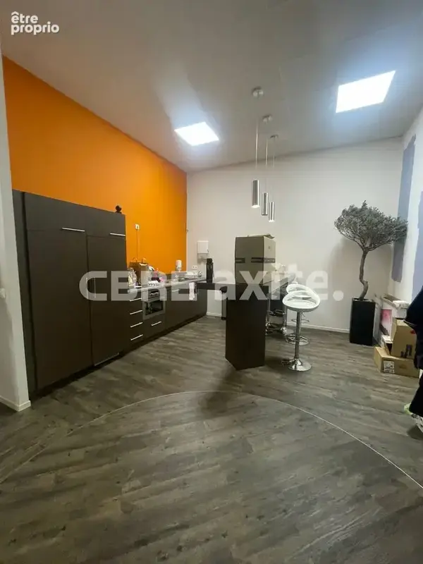 Commerce 278 m² à vendre à Cran-Gevrier (74960) - photo 3