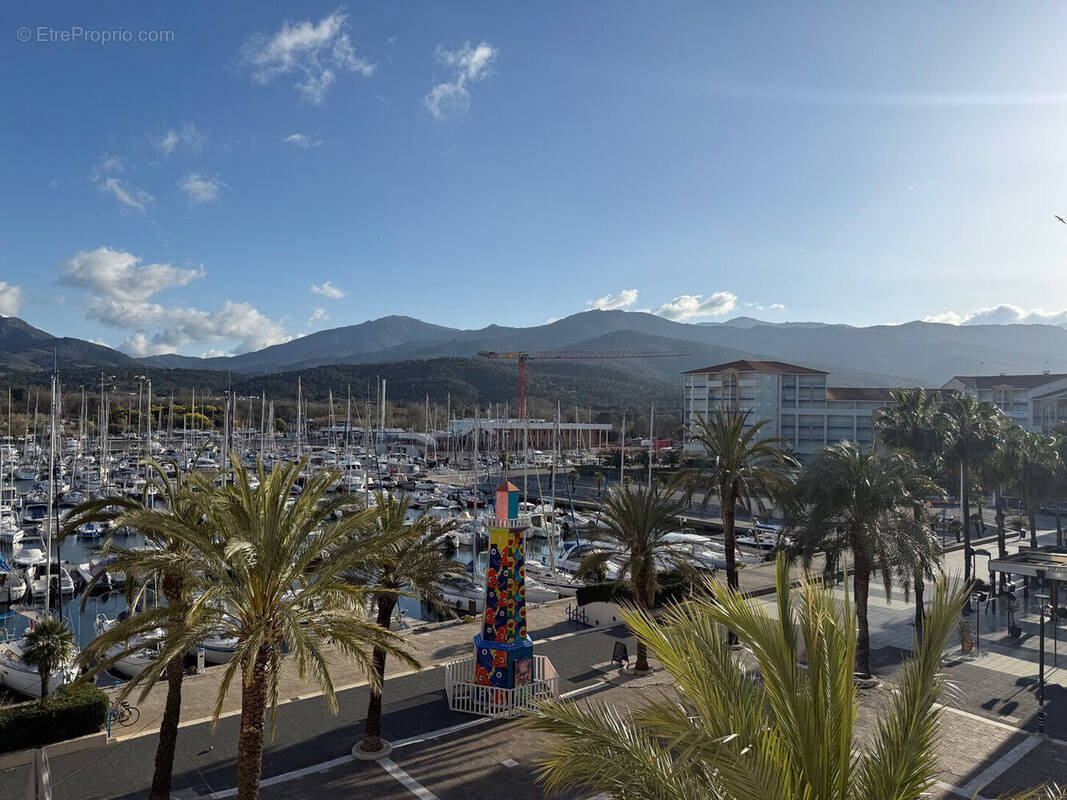 Photo 1 - Appartement à ARGELES-SUR-MER