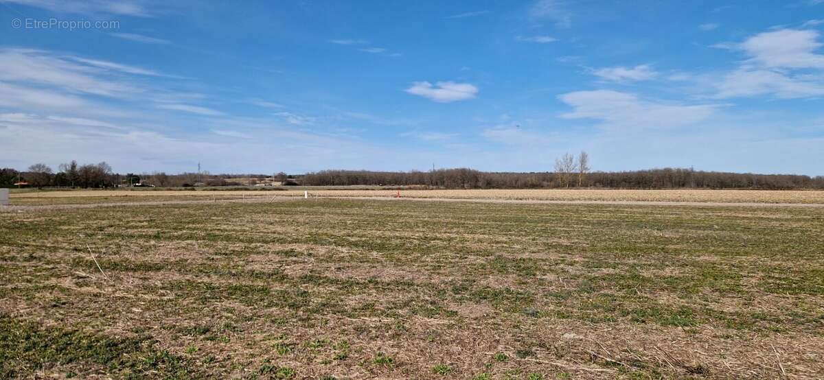 Terrain 788 m² à Chambeon  - photo 6