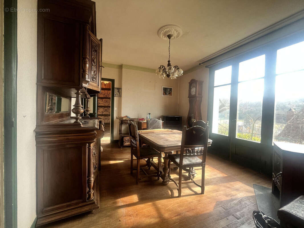 IMG7040 - Maison à SAINT-CYPRIEN