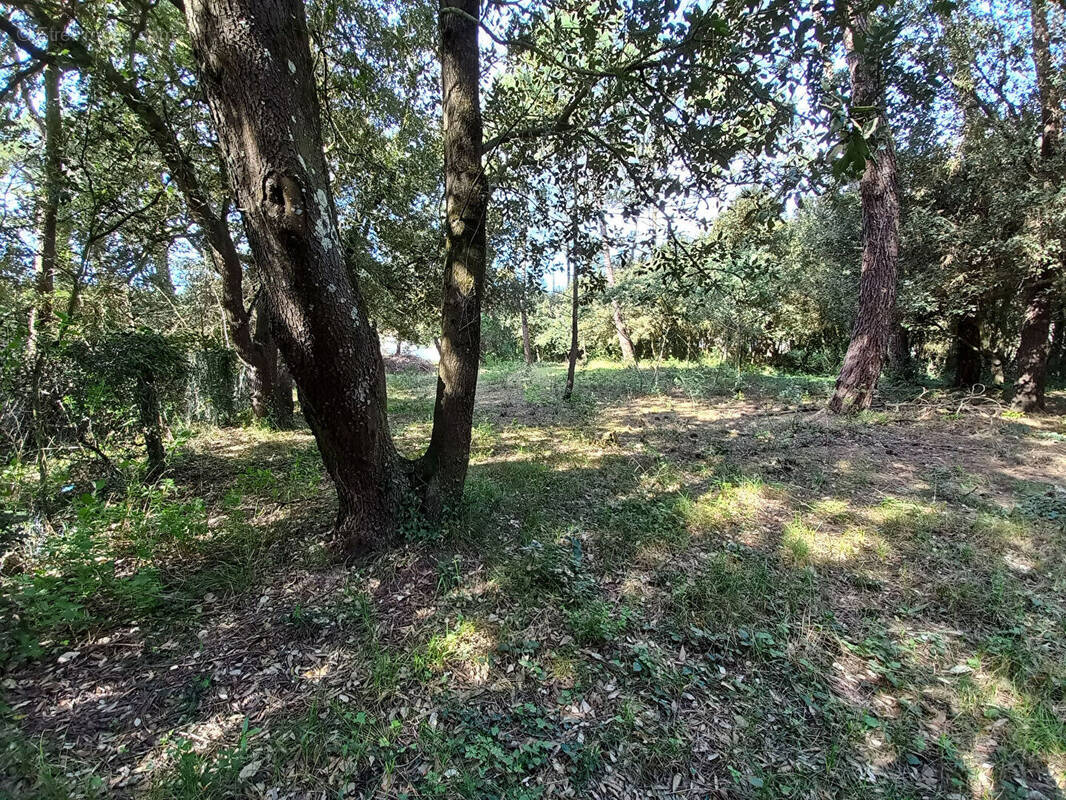 Terrain à SAINT-PIERRE-D&#039;OLERON